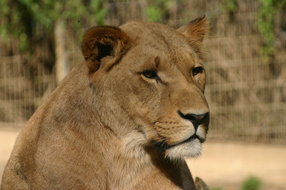 2011040701543014_k-Zoo & Jana 004.jpg